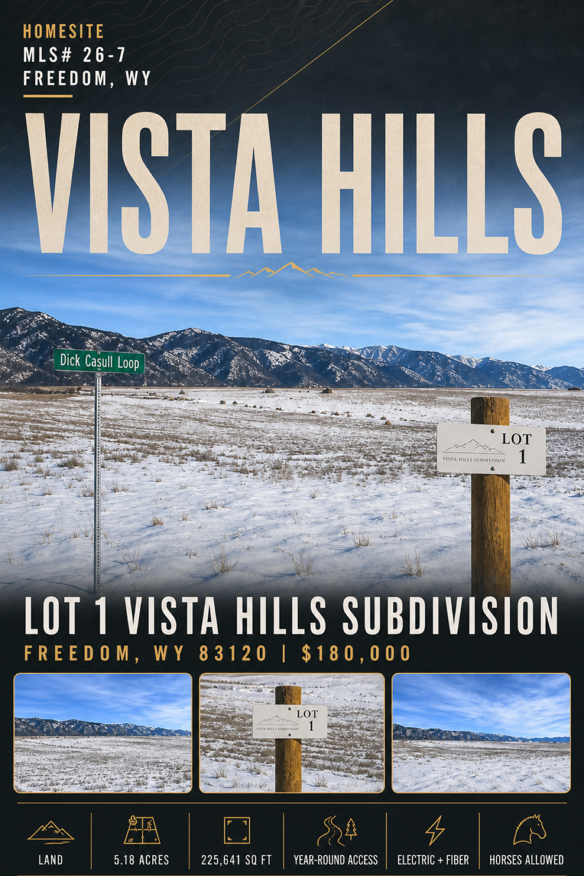 LOT 1 VISTA HILLS SUBDIVISION listing poster
